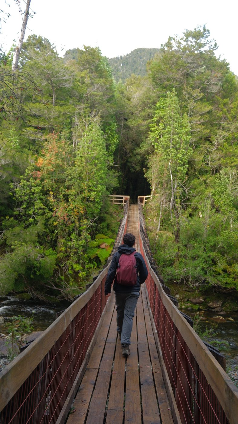 Puente colgante entre el bosque nativo cerca de Puerto Varas